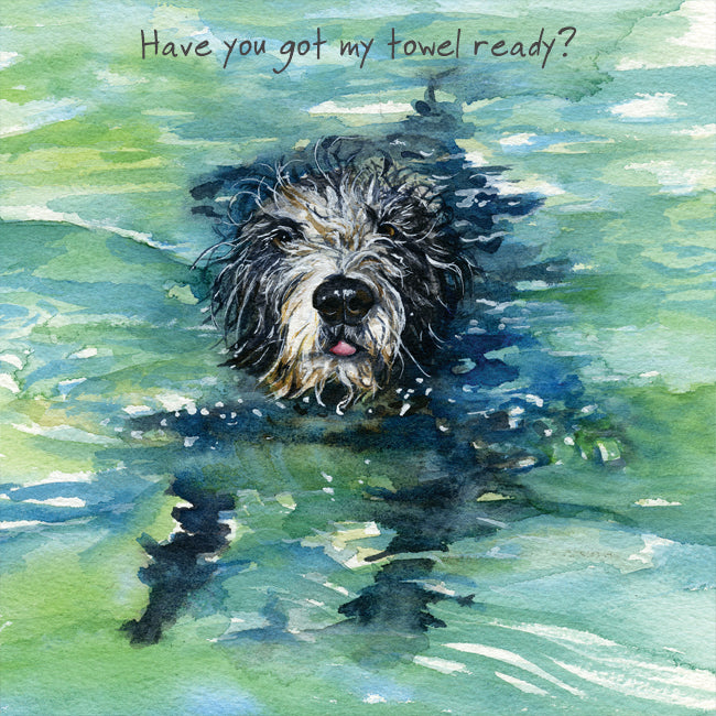 Have You Got My Towel Ready Little Dog Laughed Greeting Card