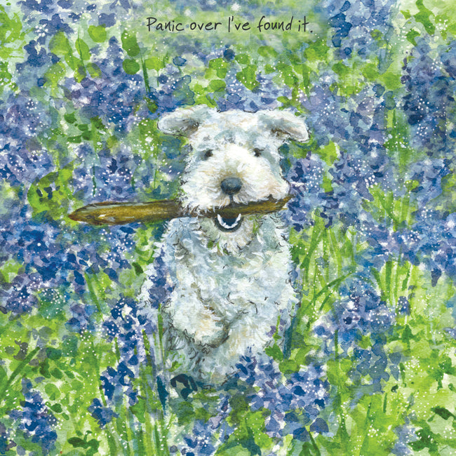 Panic Over Dog In Bluebells Little Dog Laughed Greeting Card