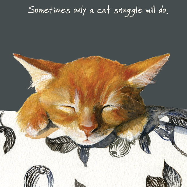 Only A Cat Snuggle Will Do Little Dog Laughed Greeting Card