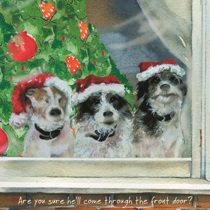 Festive Dogs Waiting For Santa Little Dog Laughed Christmas Card
