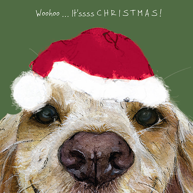 The Dog Excited For Christmas Little Dog Laughed Christmas Card