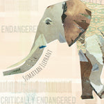 Gifted Stationery Endangered Magnetic Shopping List