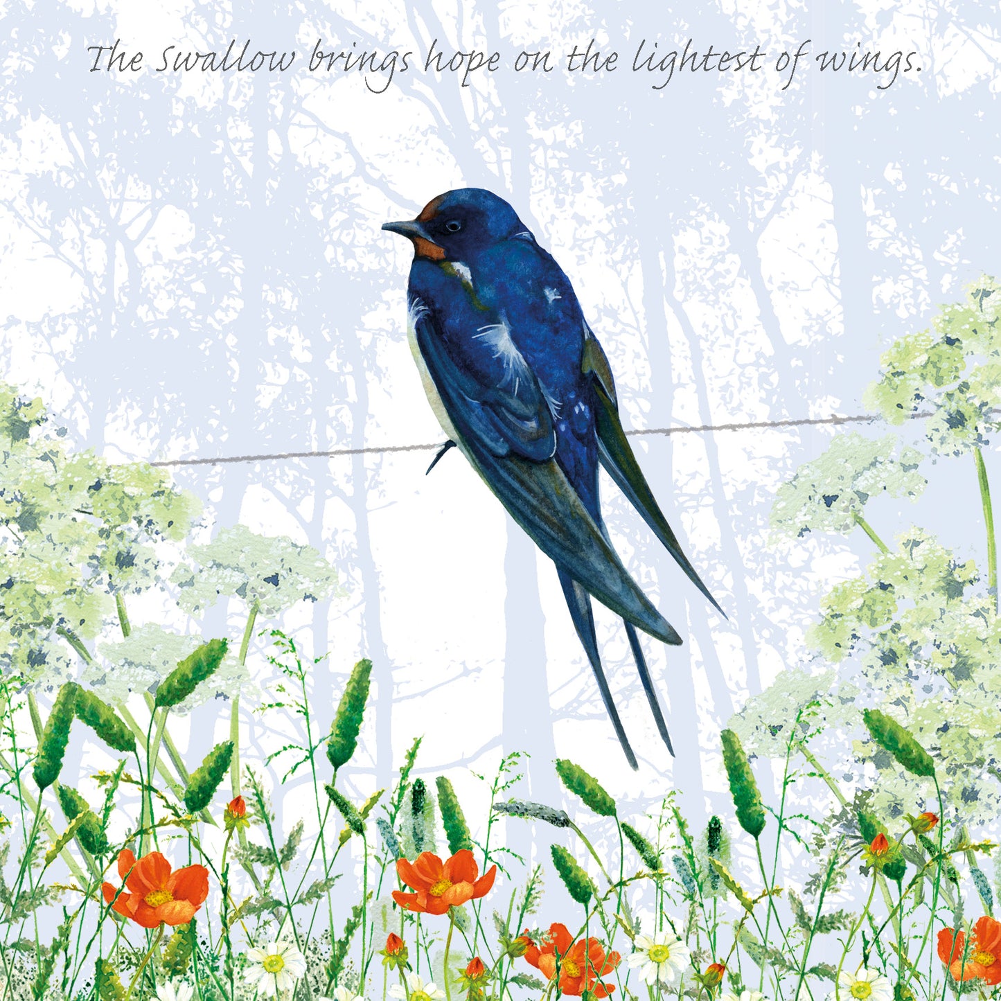 Tuppence A Bag The Swallow Light Wings Bird Themed Bird Art Greeting Card