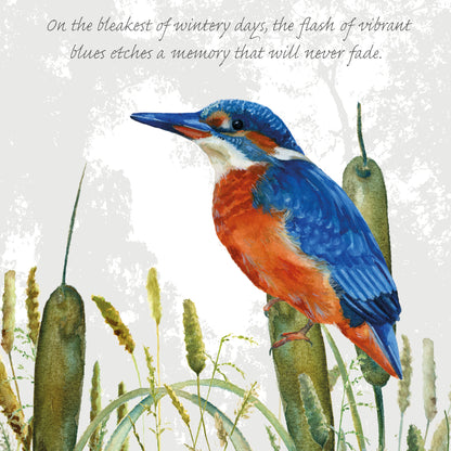 Tuppence A Bag Vibrant Kingfisher On A Wintery Day Bird Art Greeting Card