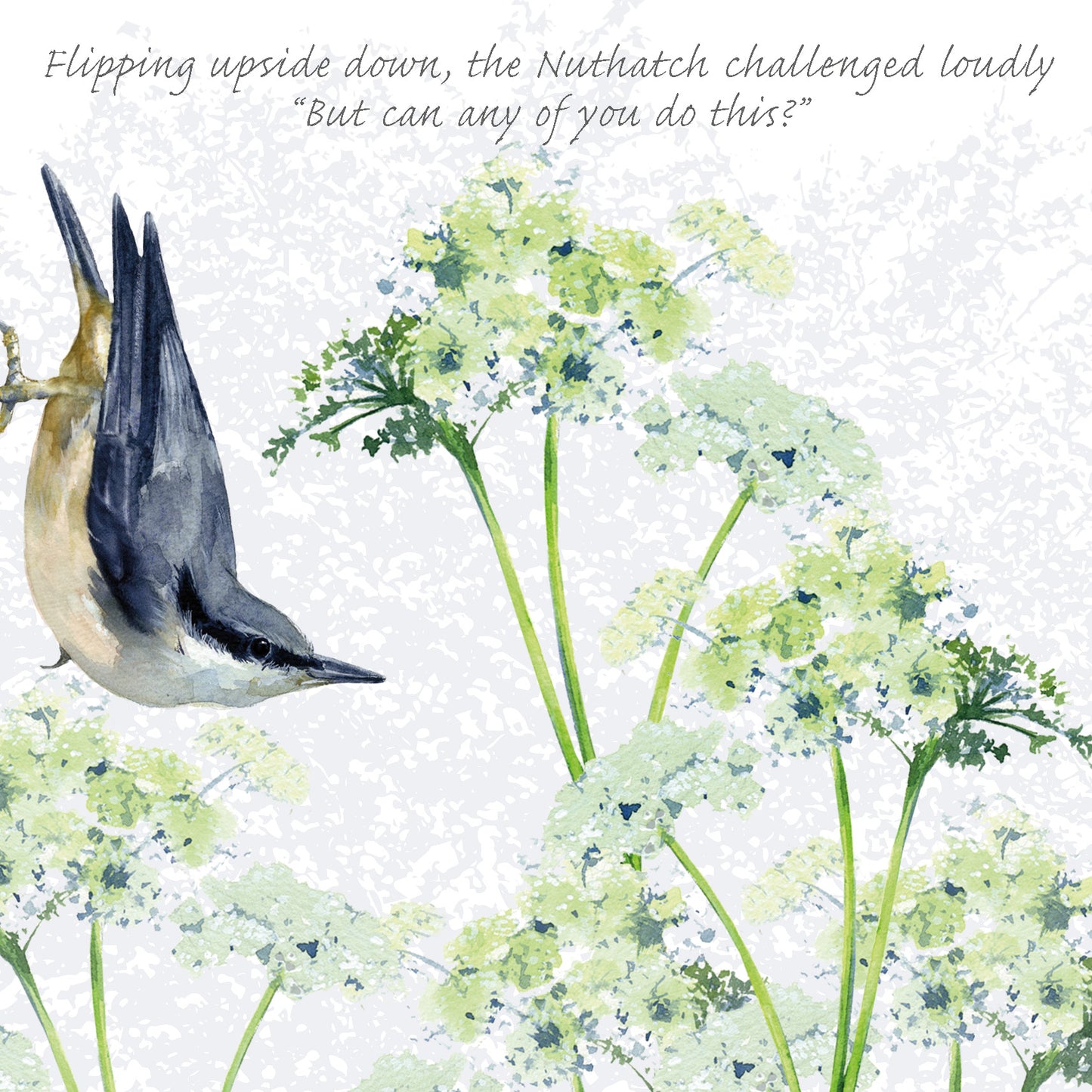 Tuppence A Bag Nuthatch Upside Down Bird Themed Bird Art Greeting Card