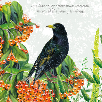 Tuppence A Bag Starling One Last Berry Bird Themed Bird Art Greeting Card