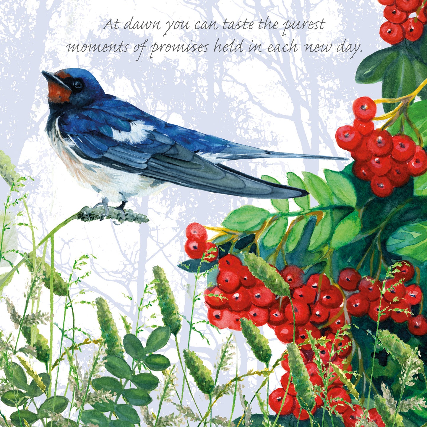 Tuppence A Bag Swallow At Dawn A New Day Bird Themed Bird Art Greeting Card