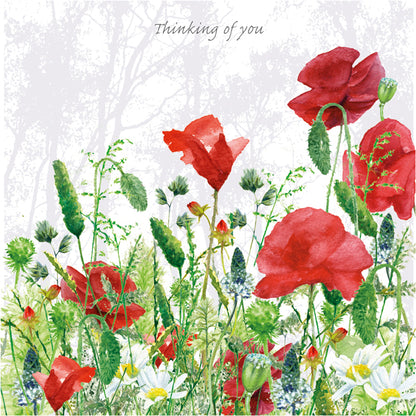 Tuppence A Bag Thinking Of You Red Poppies & Flowers Garden Art Greeting Card