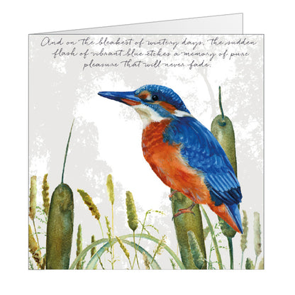 Tuppence A Bag Vibrant Kingfisher On A Wintery Day Bird Art Greeting Card