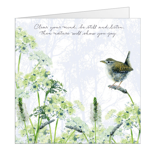 Tuppence A Bag Wren Be Still & Listen Bird Themed Bird Art Greeting Card