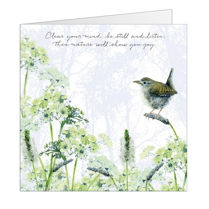 Tuppence A Bag Wren Be Still & Listen Bird Themed Bird Art Greeting Card