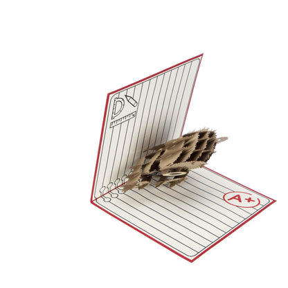 Thank You Teacher Pop-Up Thank You Greeting Card Blank Inside