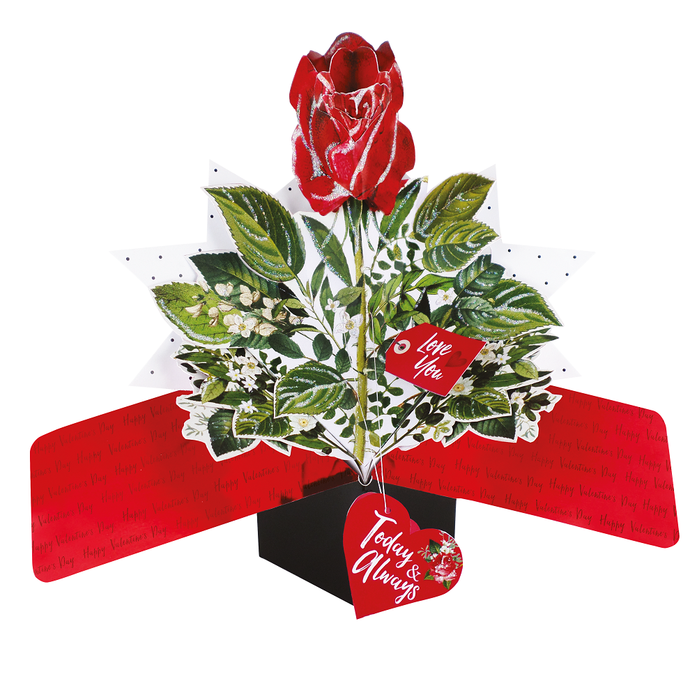 Red Rose Today & Always Pop Up Valentine's Day Greeting Card