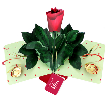 Pop Up Red Rose Just For You Greeting Card