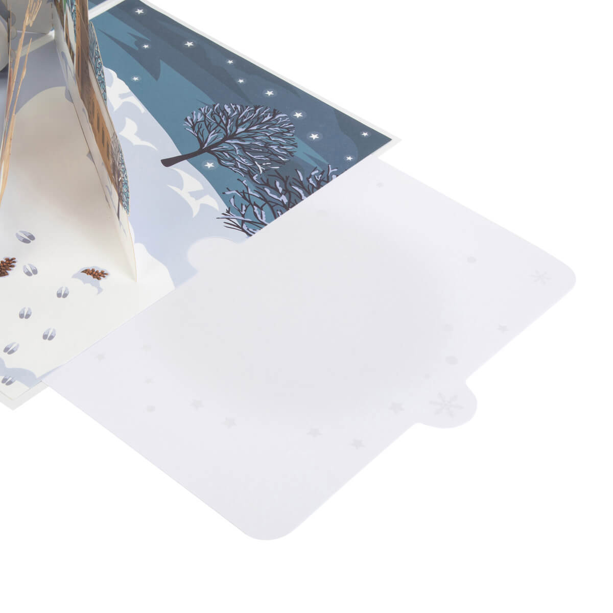 Winter Woodland Scene Pop Up Christmas Greeting Card