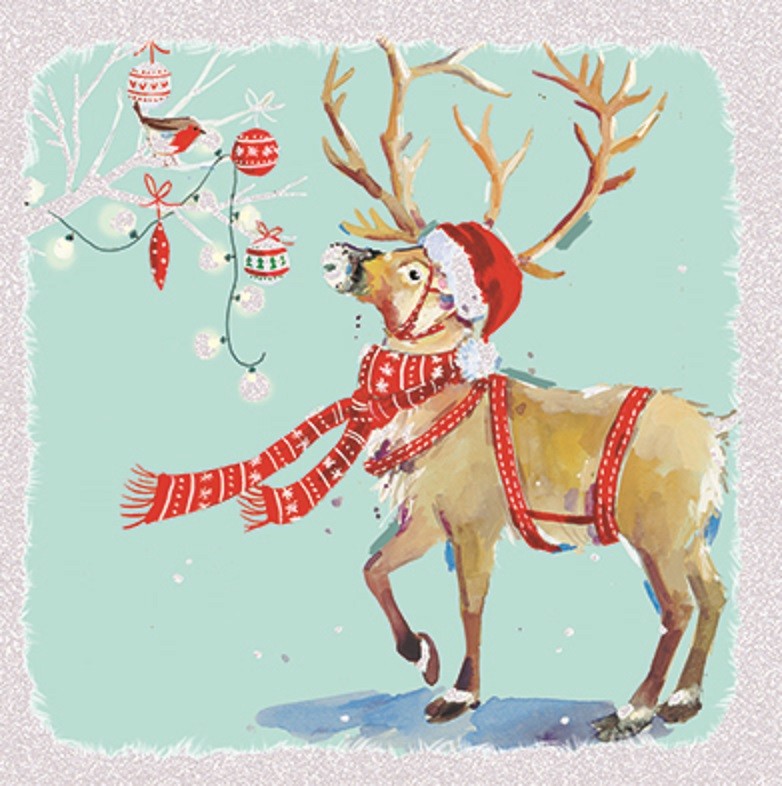 Pack of 6 Festive Reindeer Charity Christmas Cards Supporting Multiple Charities