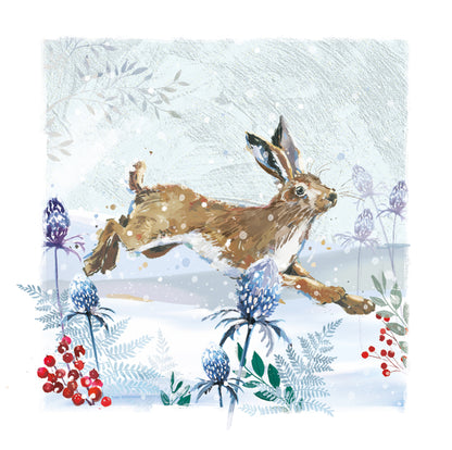 The Wildlife Winter Running Hare In The Snow Christmas Card