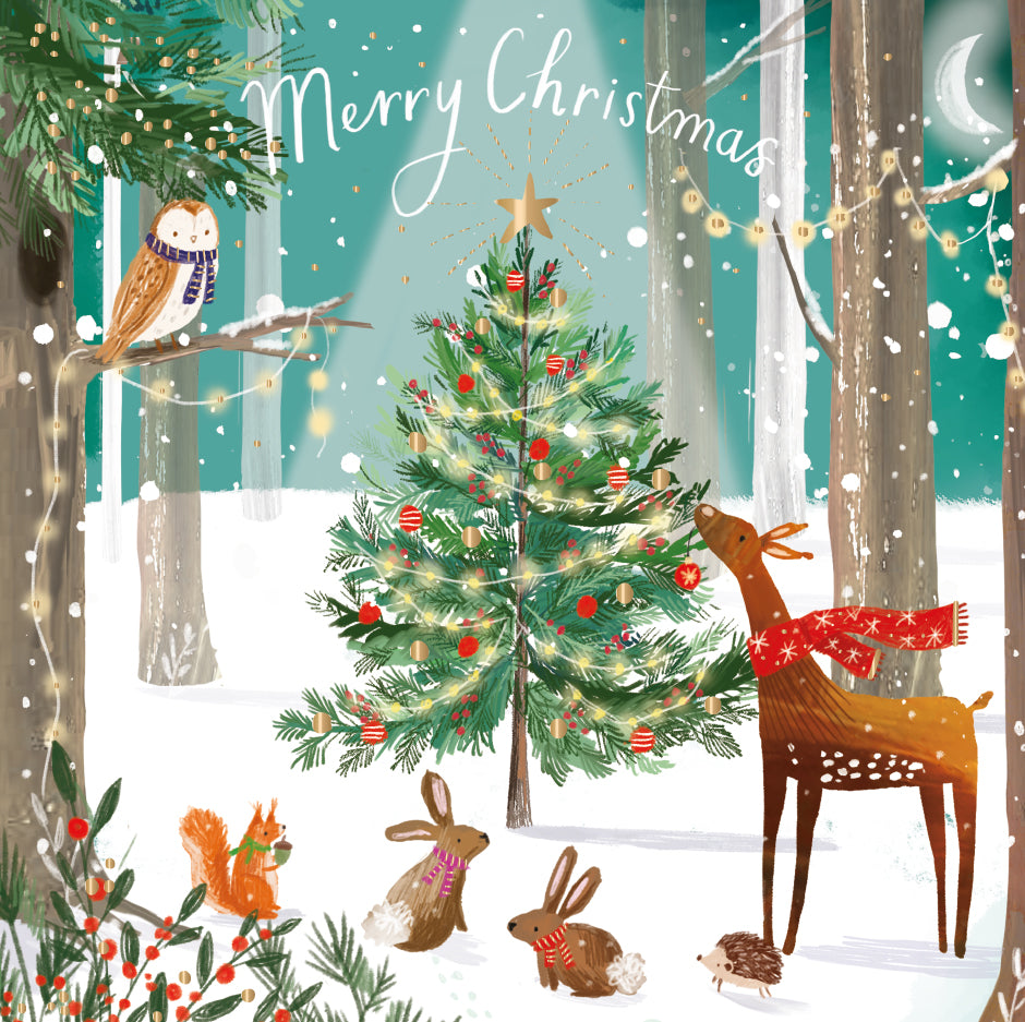 Box of 8 Magical Shooting Star Children's Hospices Foiled Christmas Cards