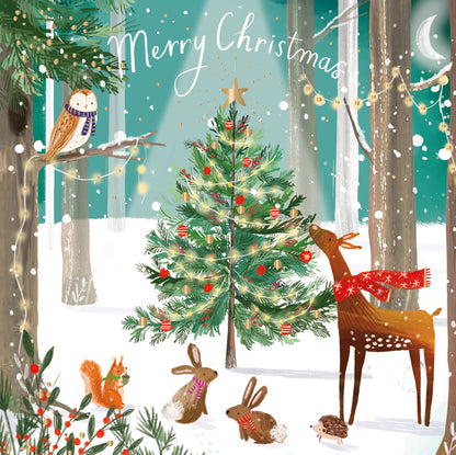 Box of 8 Magical Shooting Star Children's Hospices Foiled Christmas Cards