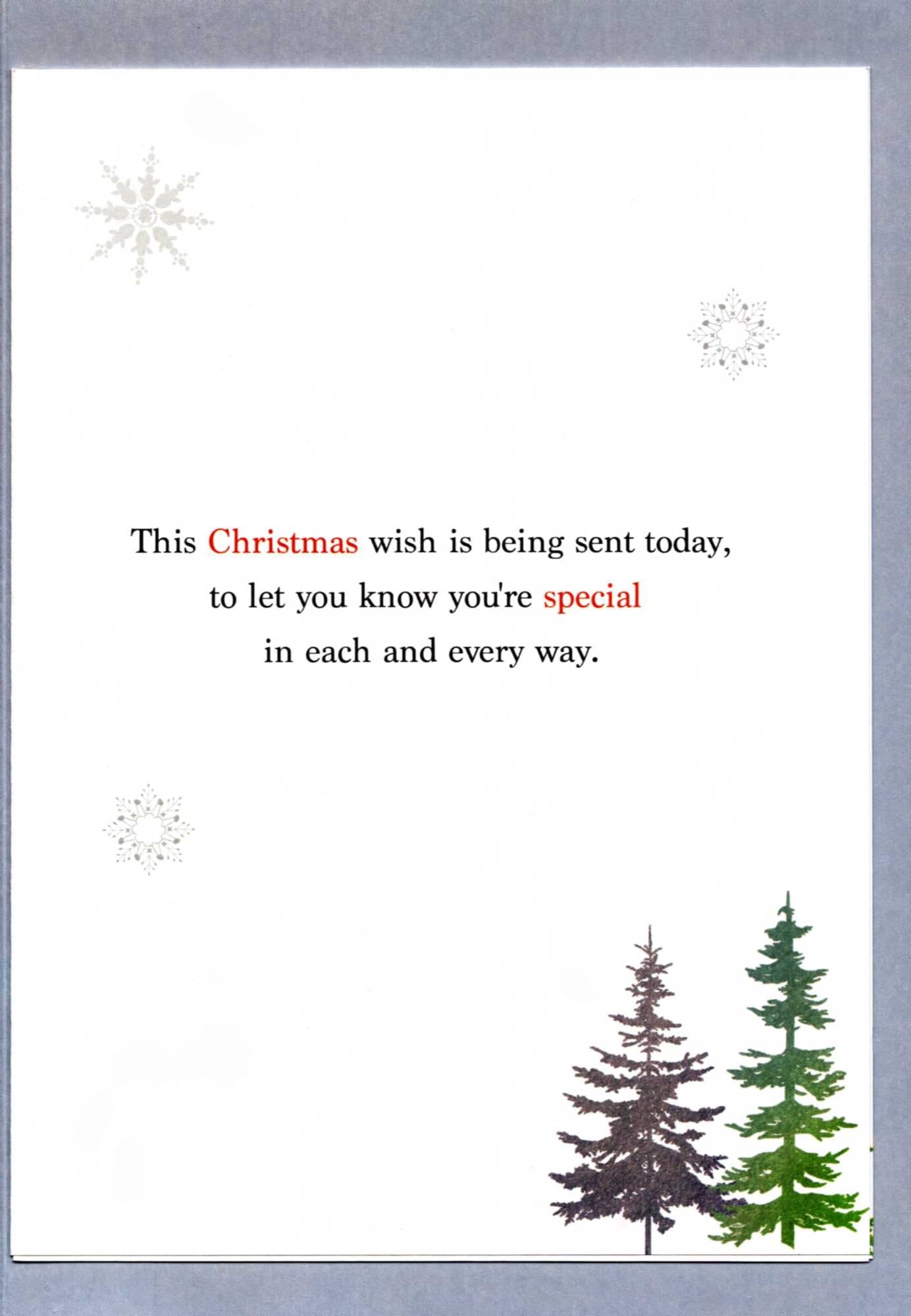 Brother Magnificent Stag Embellished Magnifique Christmas Card