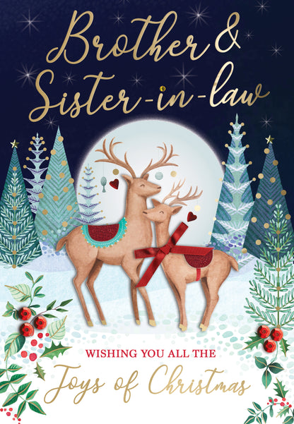 Brother & Sister-In-Law Embellished Magnifique Christmas Card
