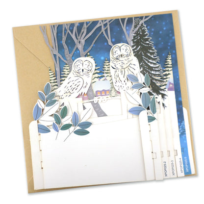 Snowy Barn Owls Surveying 3D Pop Up Christmas Greeting Card
