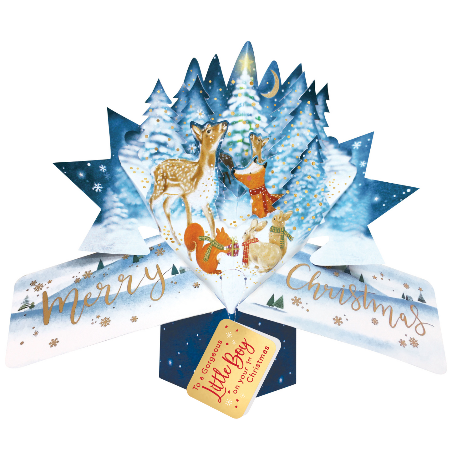 Baby Boy's 1st Christmas Card 3D Woodland Animals Pop Up Christmas Card