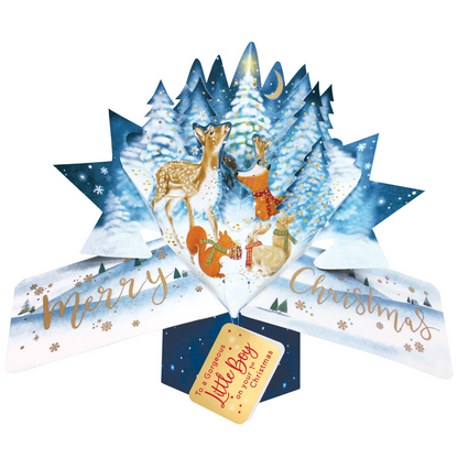 Baby Boy's 1st Christmas Card 3D Woodland Animals Pop Up Christmas Card