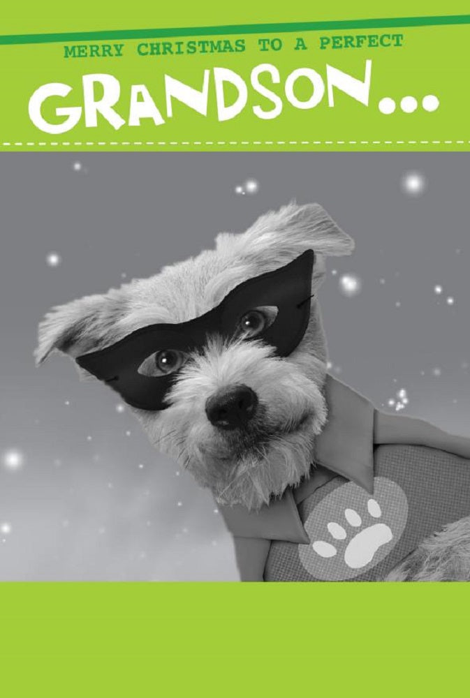 Merry Christmas A Perfect Grandson Funny Christmas Card