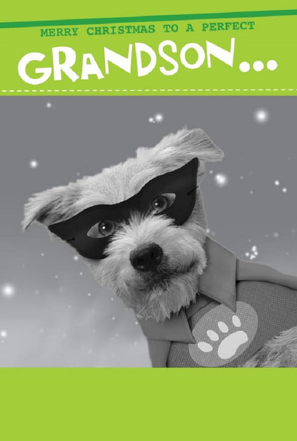 Merry Christmas A Perfect Grandson Funny Christmas Card