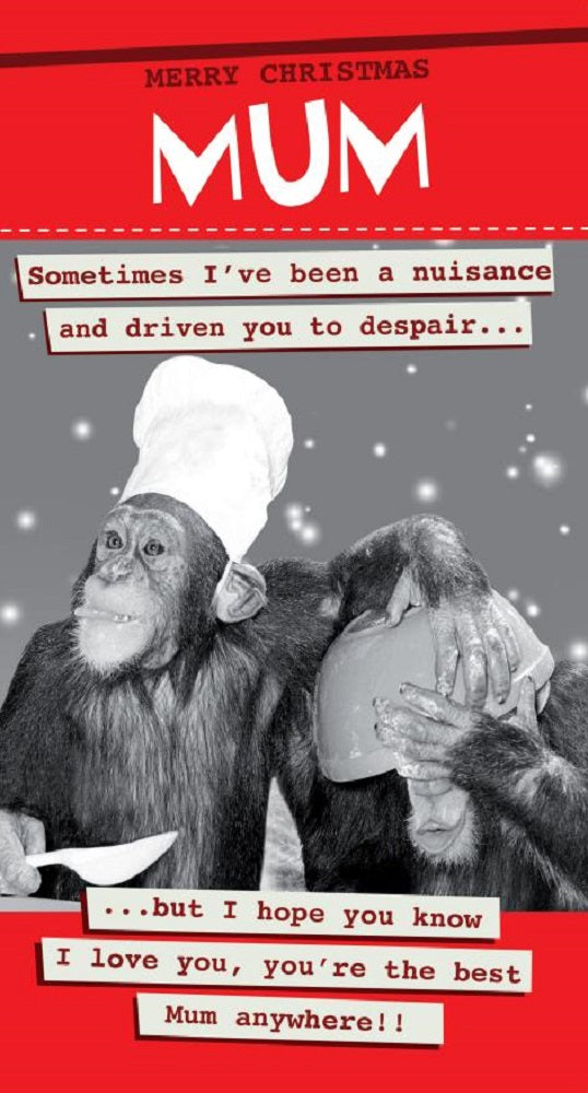 I Love You You're The Best Mum Funny Christmas Card