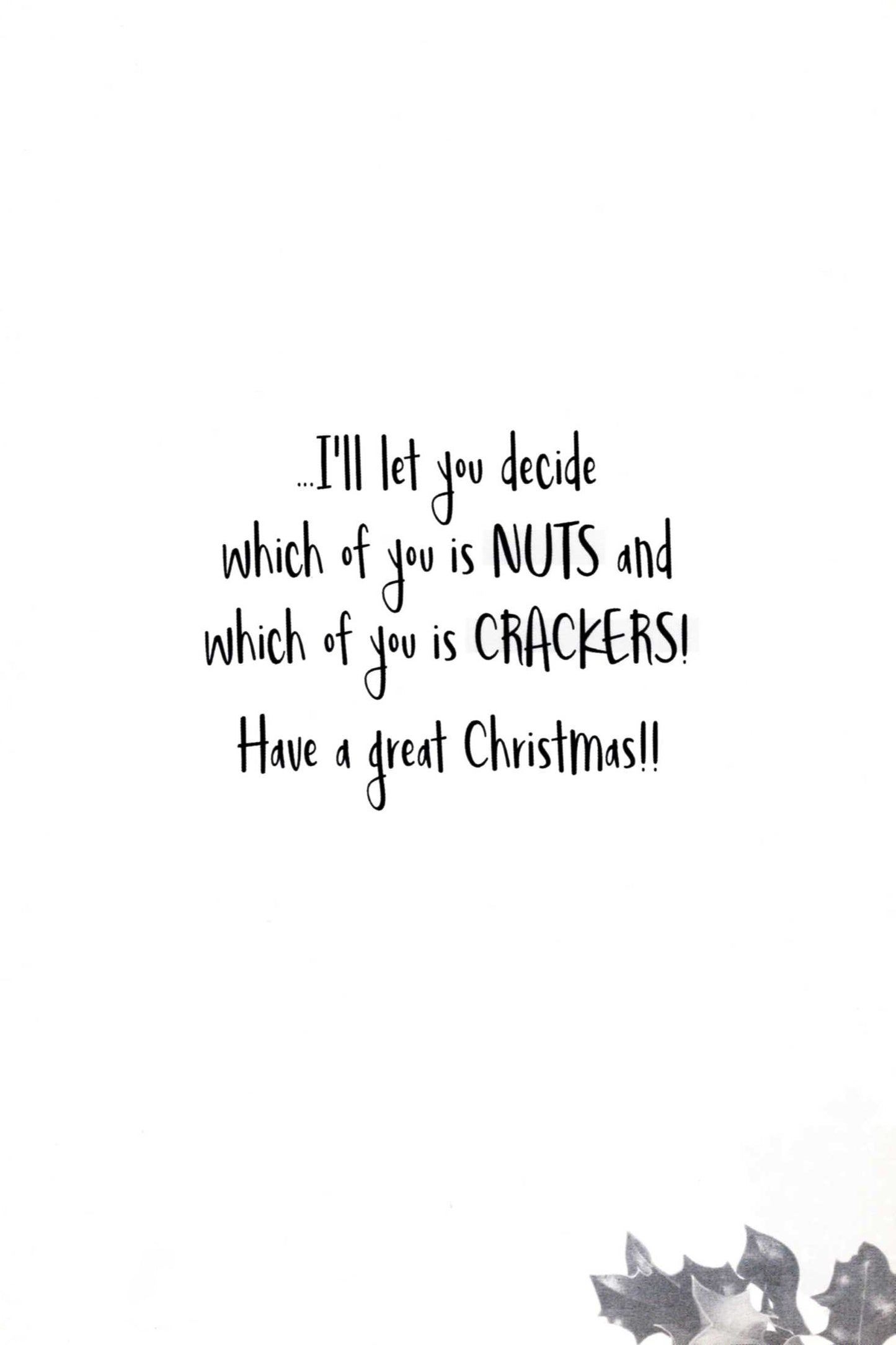 Both Of You Nuts & Crackers... Funny Christmas Card