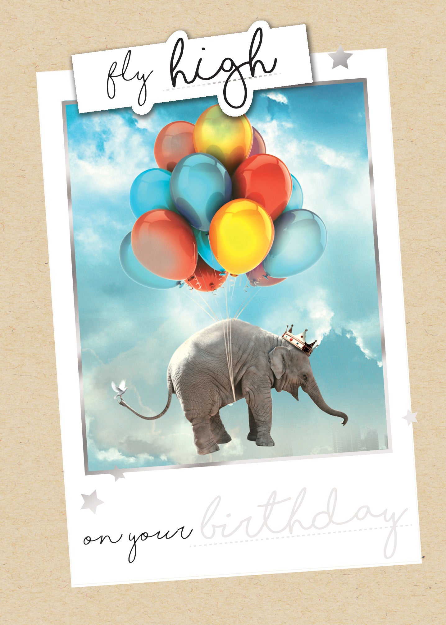 Fly High On Your Birthday Greeting Card