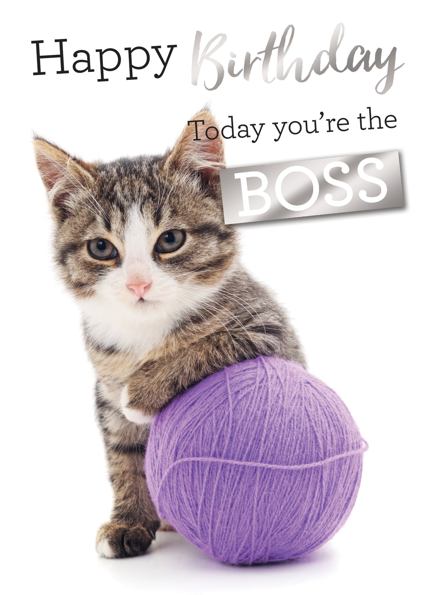 Today You're The Boss Birthday Greeting Card
