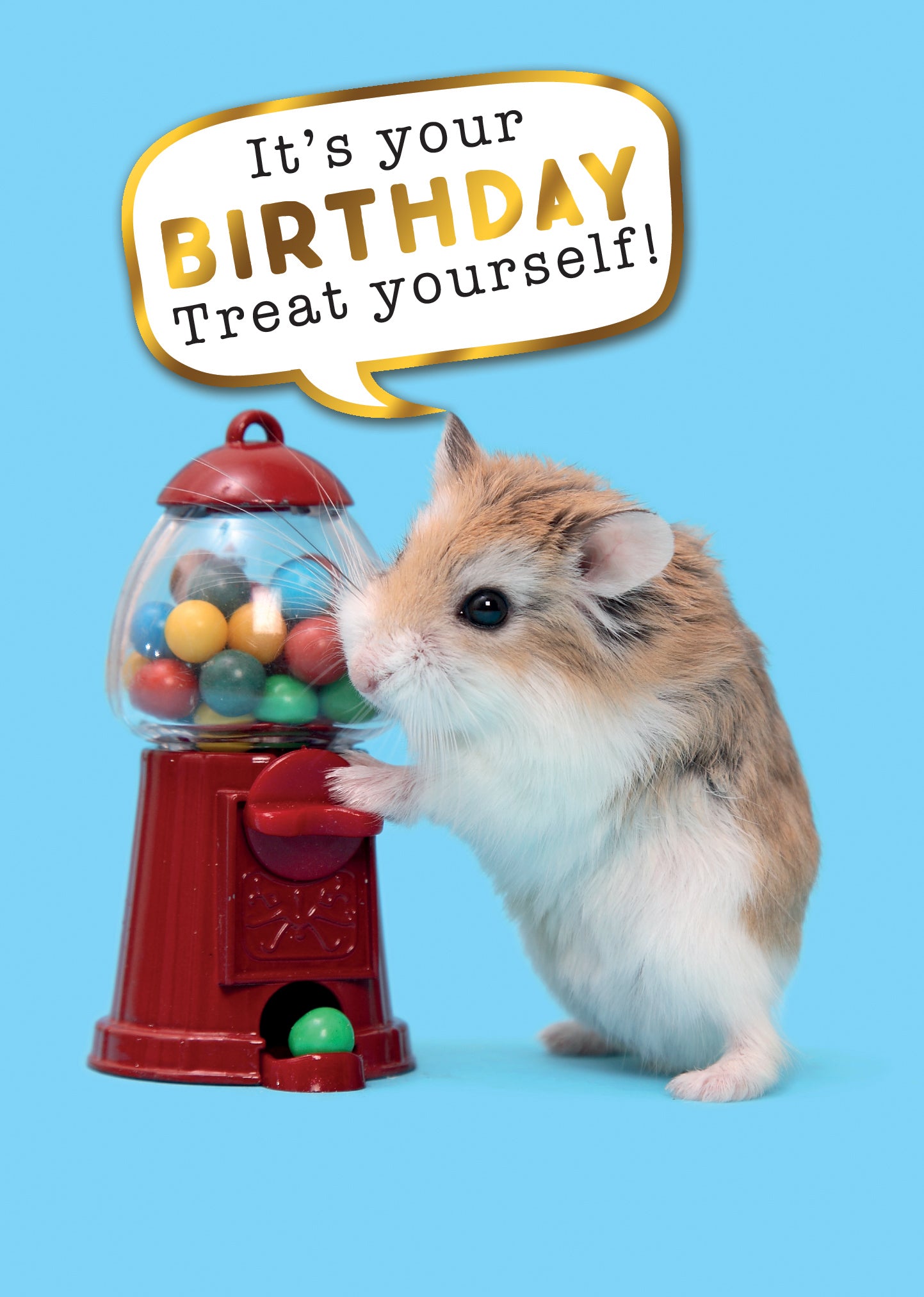 Treat Yourself Birthday Greeting Card